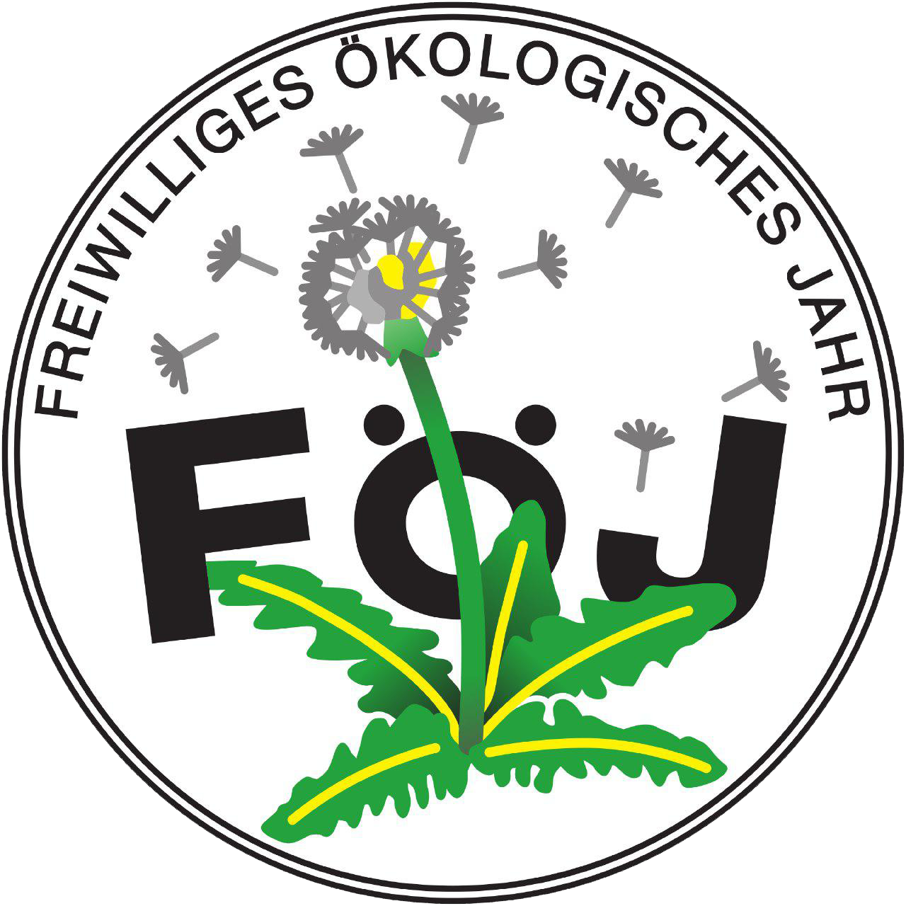 FÖJ