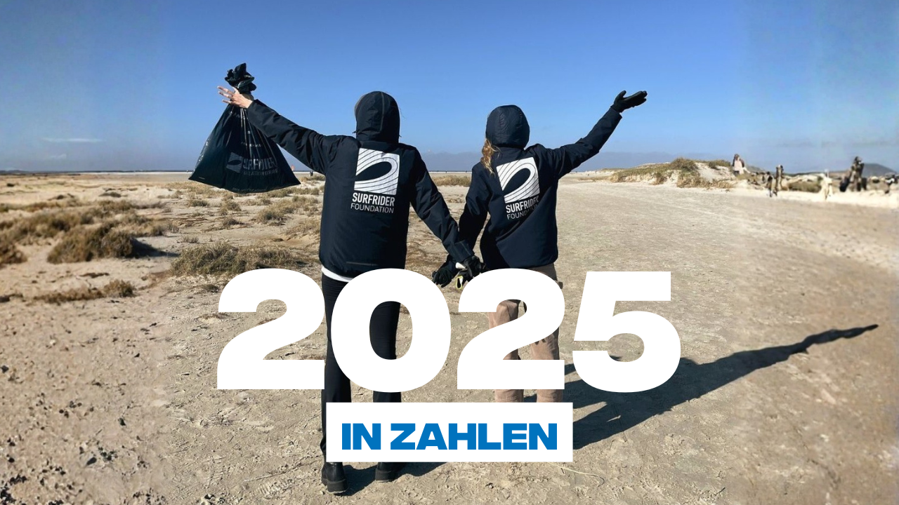 Mehr über den Artikel erfahren 2025 in Zahlen
